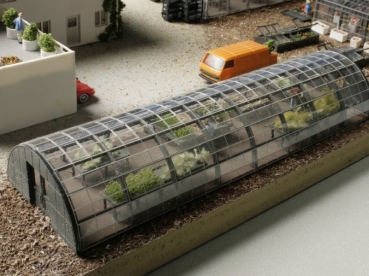 Greenhouse with curved roof
